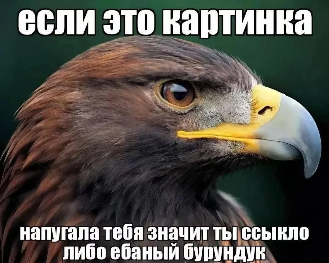 Я не ссыкло точно )