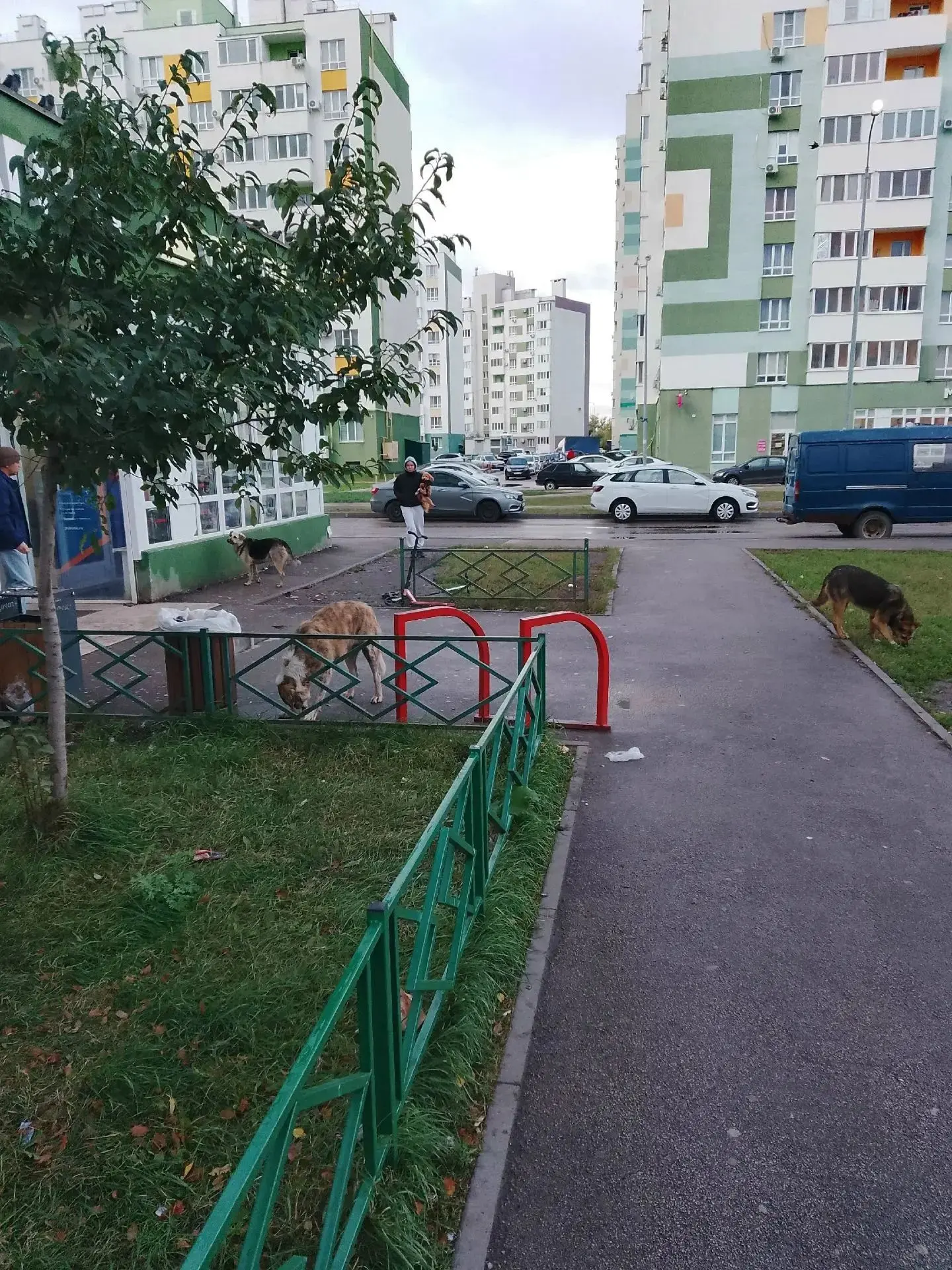 Микрорайон Южный город-2. Улица Алабина. "Магнит" напротив подземного перехода. Можно л...