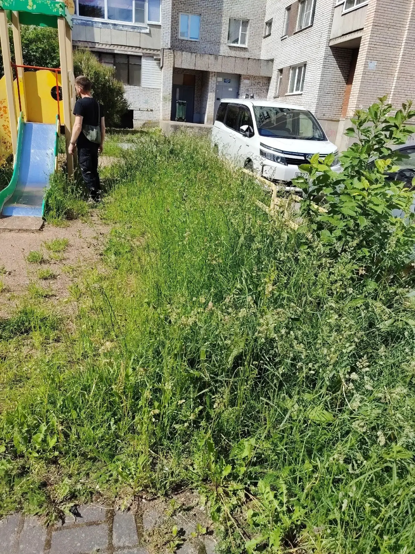 Похвастаться хотим детской площадкой на пр-т Героев 64. Природные заросли выше роста 3-летнего ребен