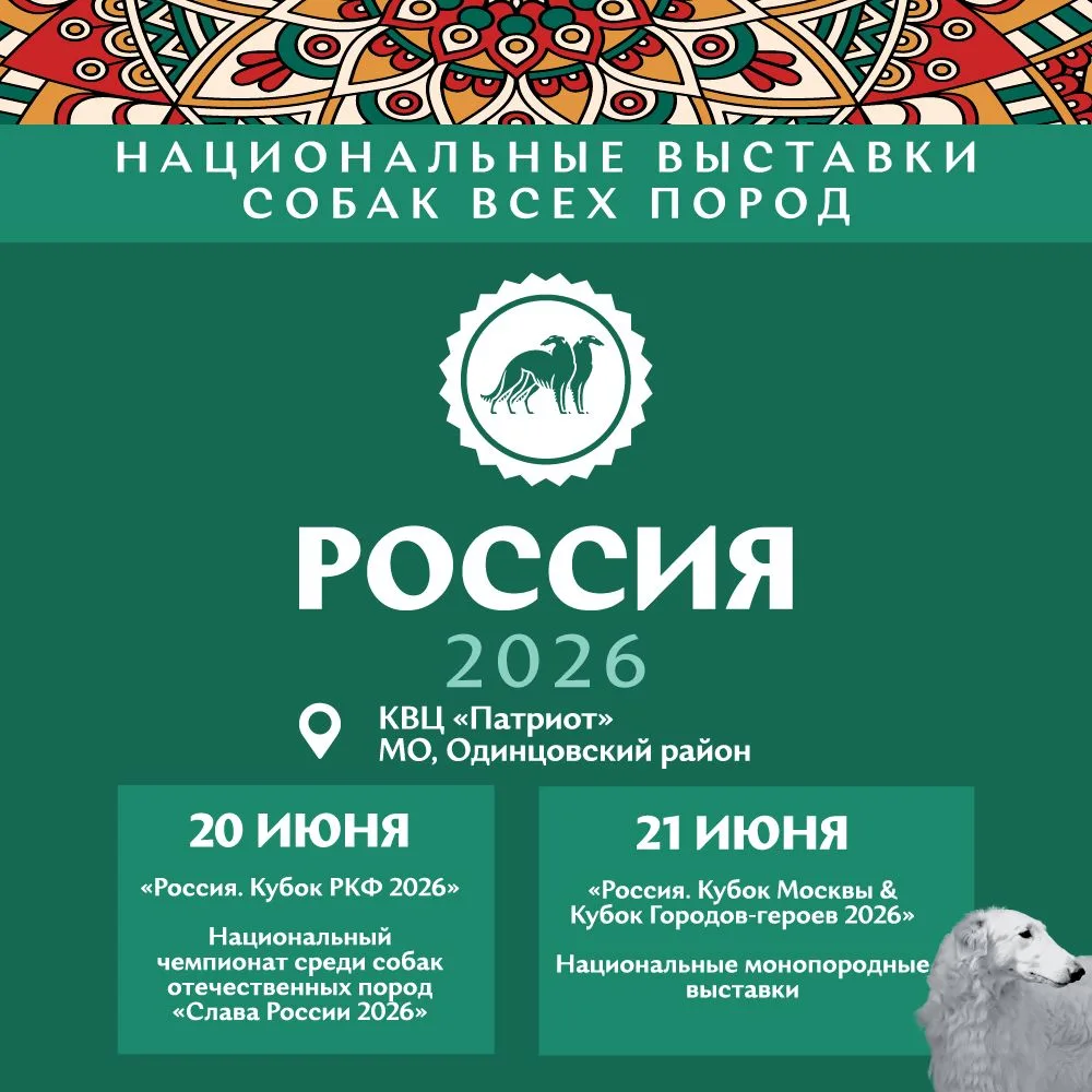 В Центральном парке «Патриот» пройдет главное кинологическое событие года: выставки собак всех пород