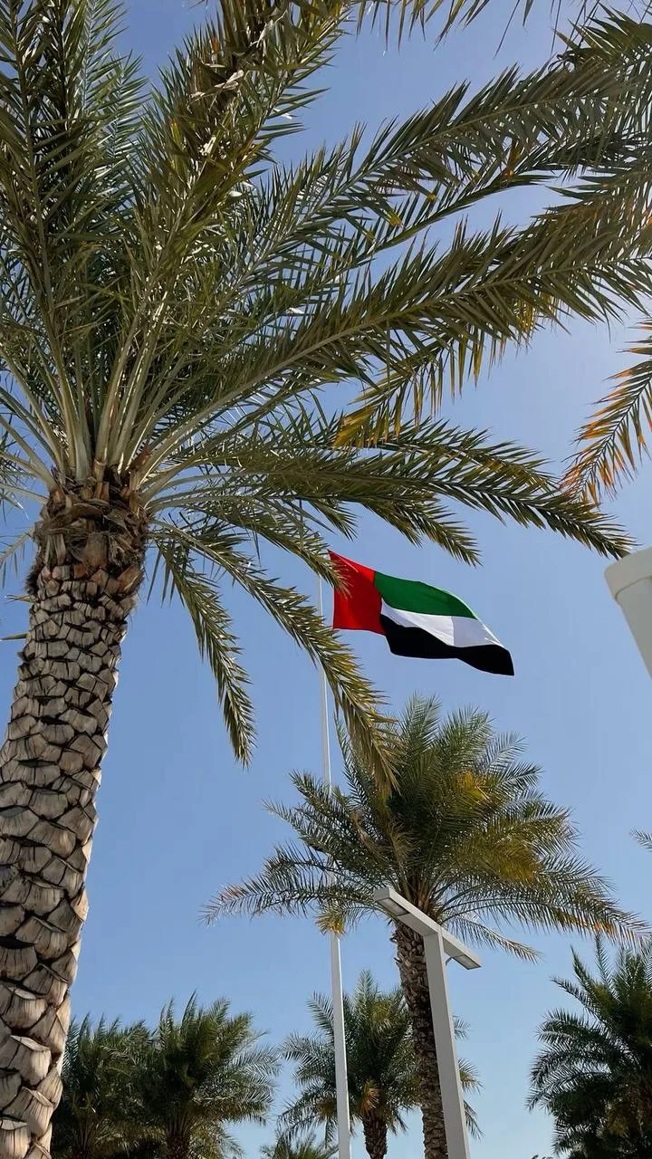 🇦🇪 ОАЭ СЕЙЧАС — ЦЕНЫ, КОТОРЫЕ ХОЧЕТСЯ БРОНИРОВАТЬ