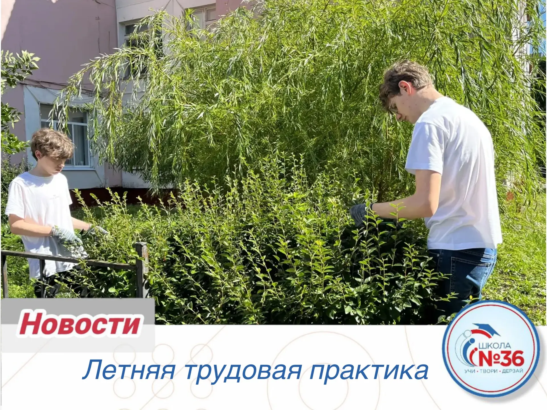 Лето — время не только отдыха, но и полезных дел! ☀️

В нашей школе продолжается летняя трудовая пра