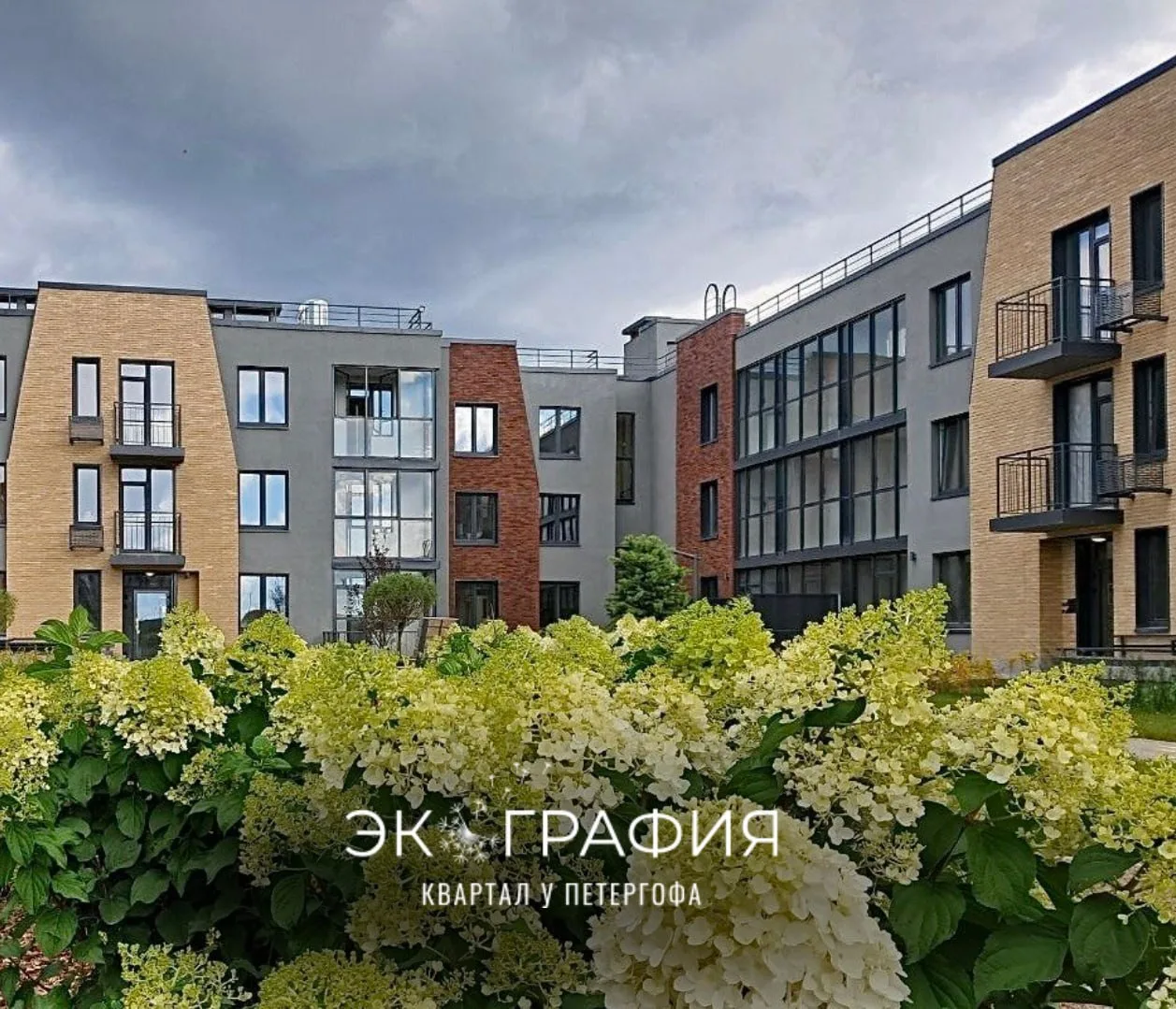 📎 Самые важные новости «Экографии» за июль 2026 года