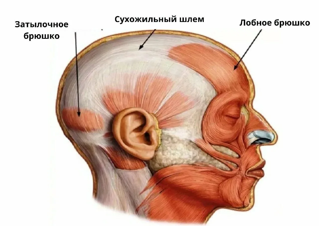 Представьте шланг с водой.