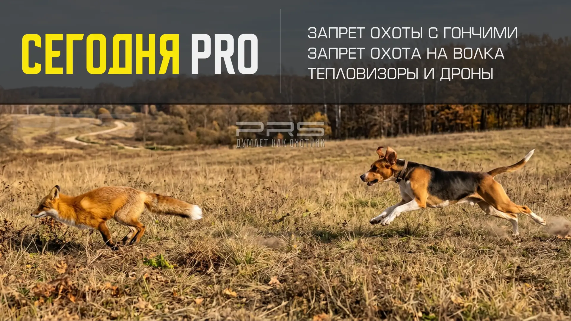 🌏 ОХОТА В МИРЕ: ЧТО ПРОИСХОДИТ ПРЯМО СЕЙЧАС

▪️ ВЕЛИКОБРИТАНИЯ — финальный удар по охоте с гончими
