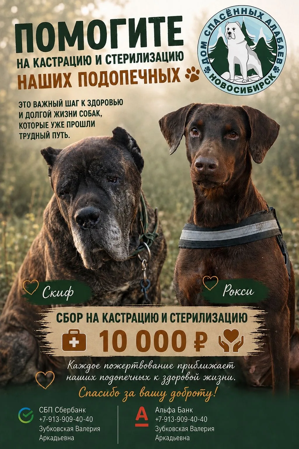 Дорогие друзья!
