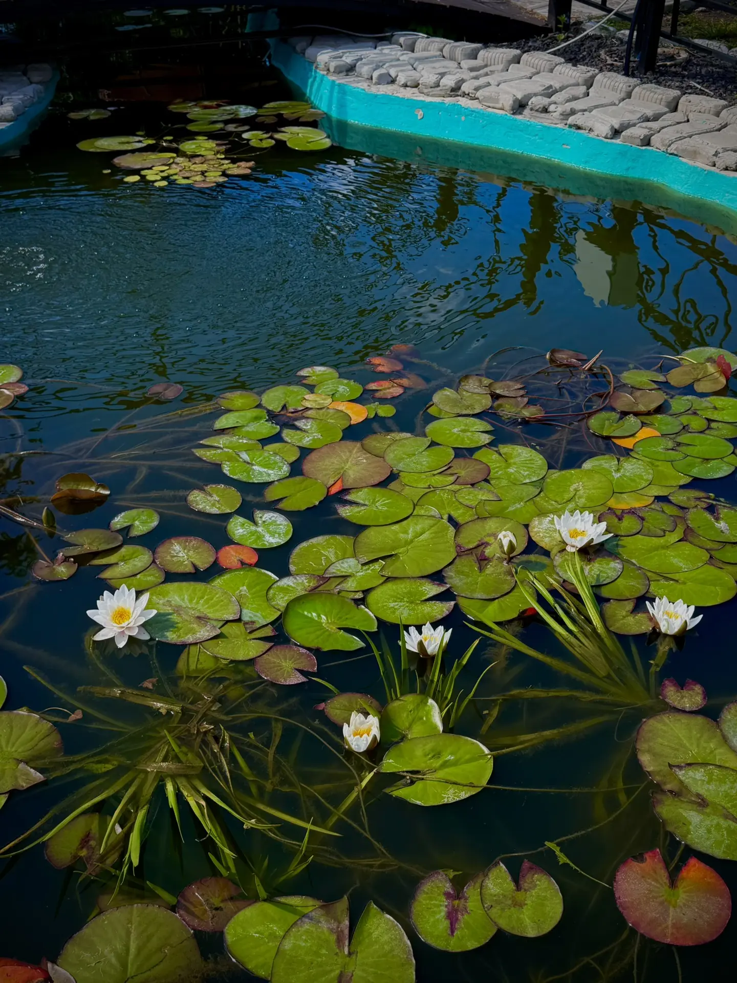 Уголок спокойствия в Золотухинской ЦРБ 🌿🐟
Часто больница ассоциируется у нас исключительно с лечен