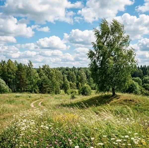 Какая погода на выходных ожидается в Курской области