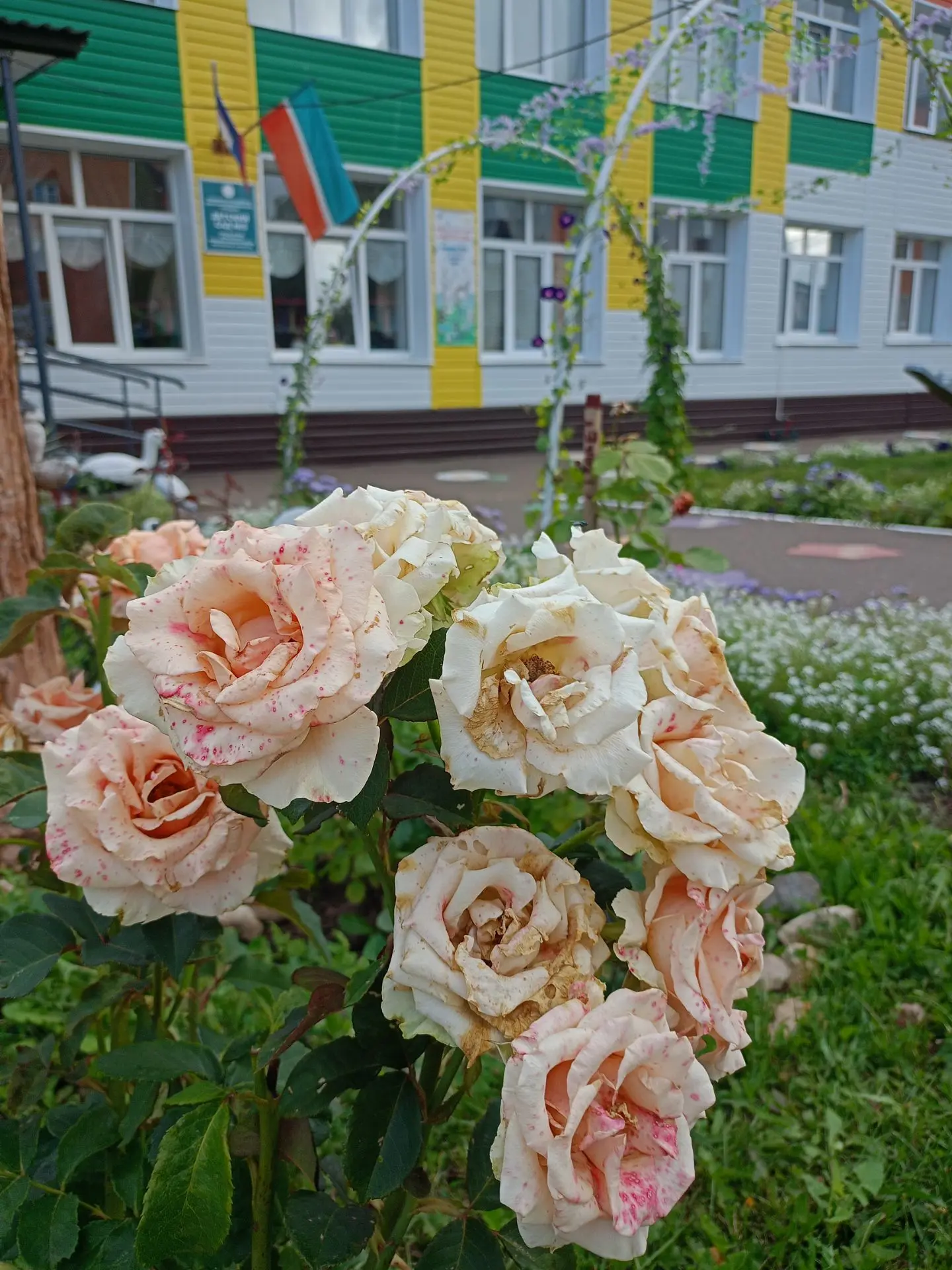 🏡❤️Представьте себе место, где каждый день начинается с искренней улыбки, а воздух нап...