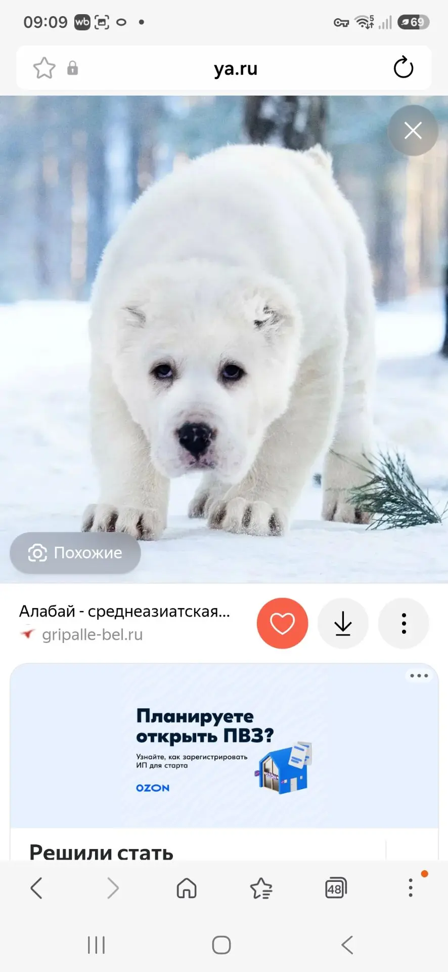 Ничего что они как пожарная машина и весом 100 кг🤣, пойду скажу Фифе и Ляльке что у ни...