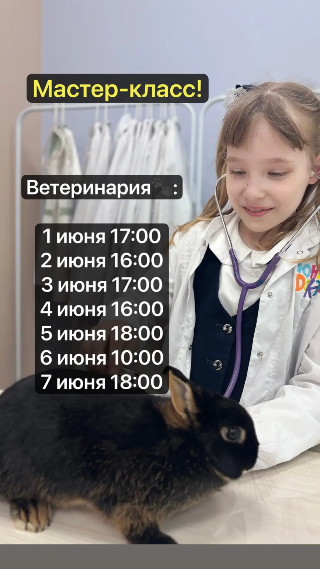 Мастер-классы!🐾🩺