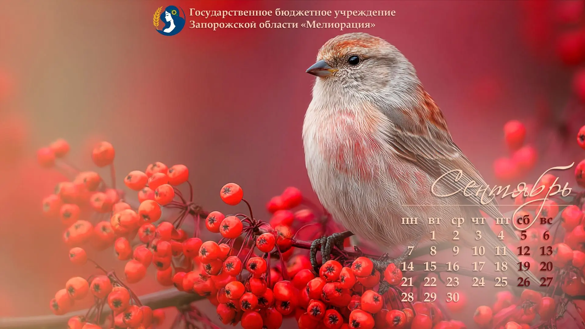 Доброе утро, мелиораторы!