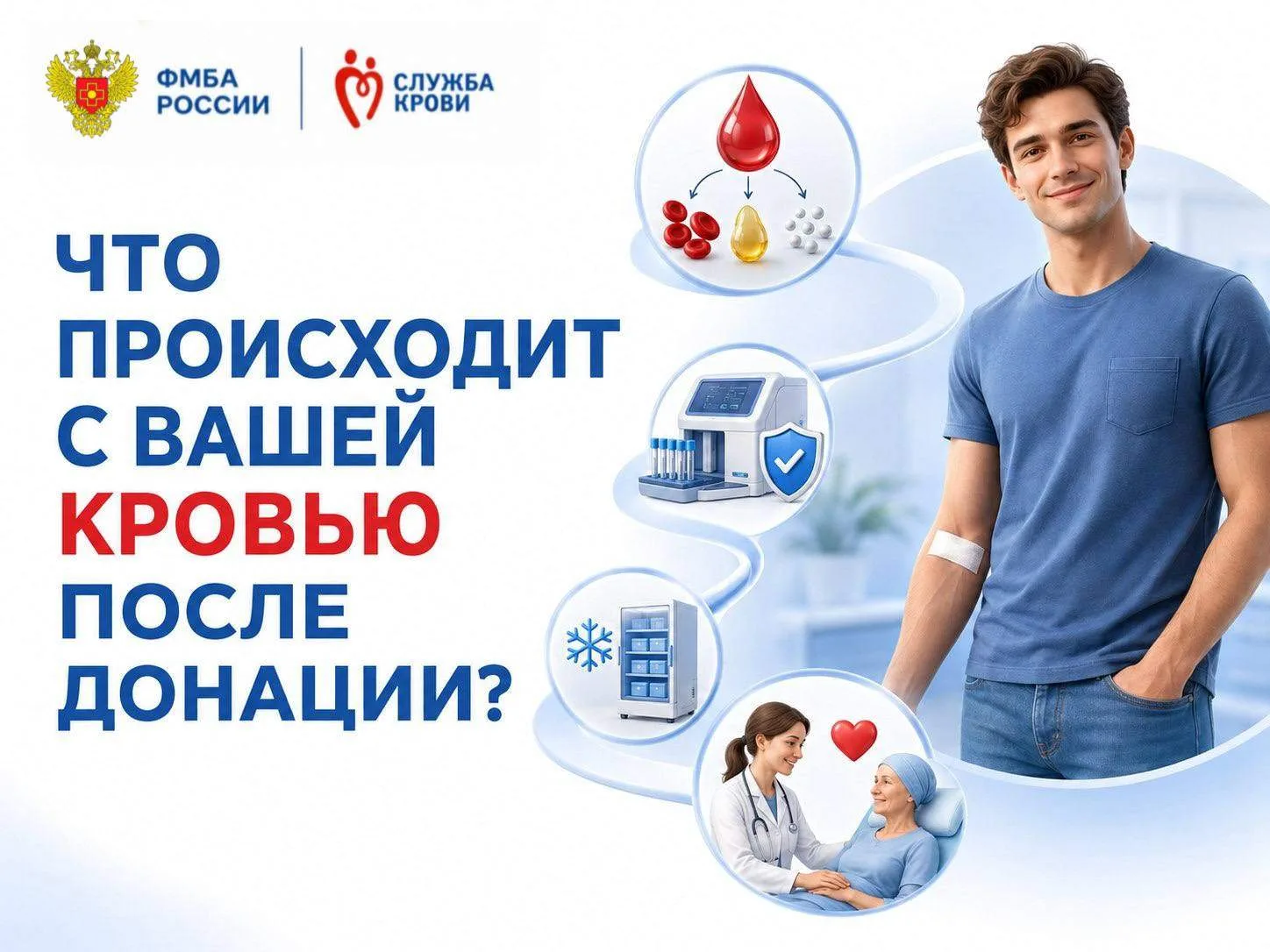 Что происходит с кровью после донации?