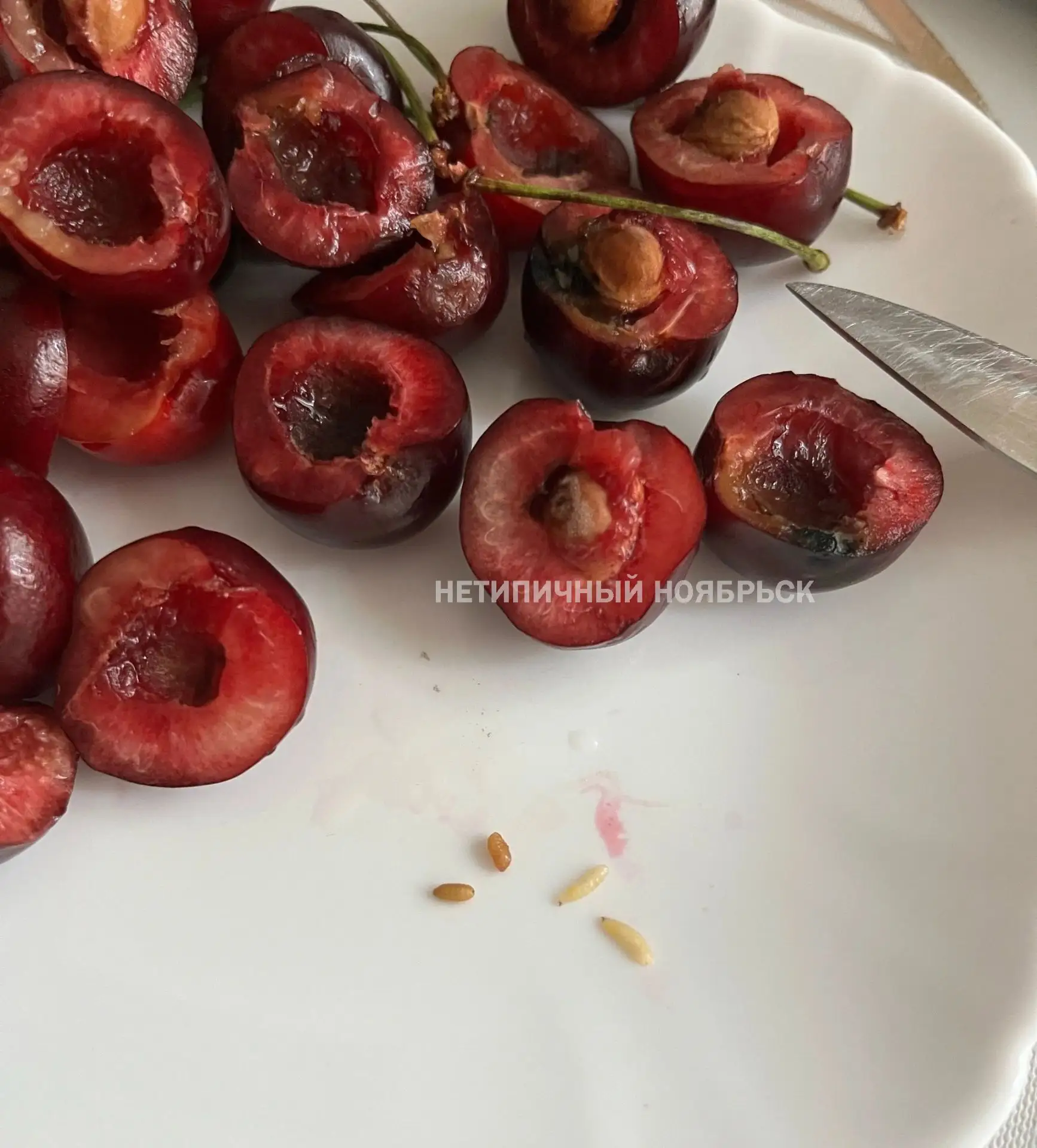 Добрый вечер. Вот такую "вкусную" черешню сегодня купили на рынке Север 2, в палатке. Обнаружили не 