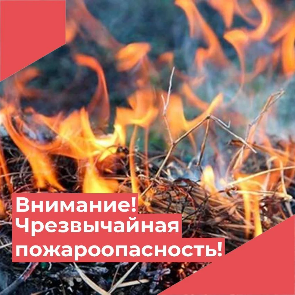 По данным ФГБУ «Северо-Кавказское УГМС»                 До конца суток 1 августа,