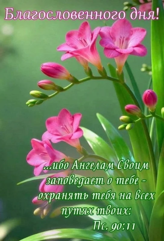 ❤️❤️❤️❤️Открытки❤️❤️❤️❤️
Теперь и в MAX
