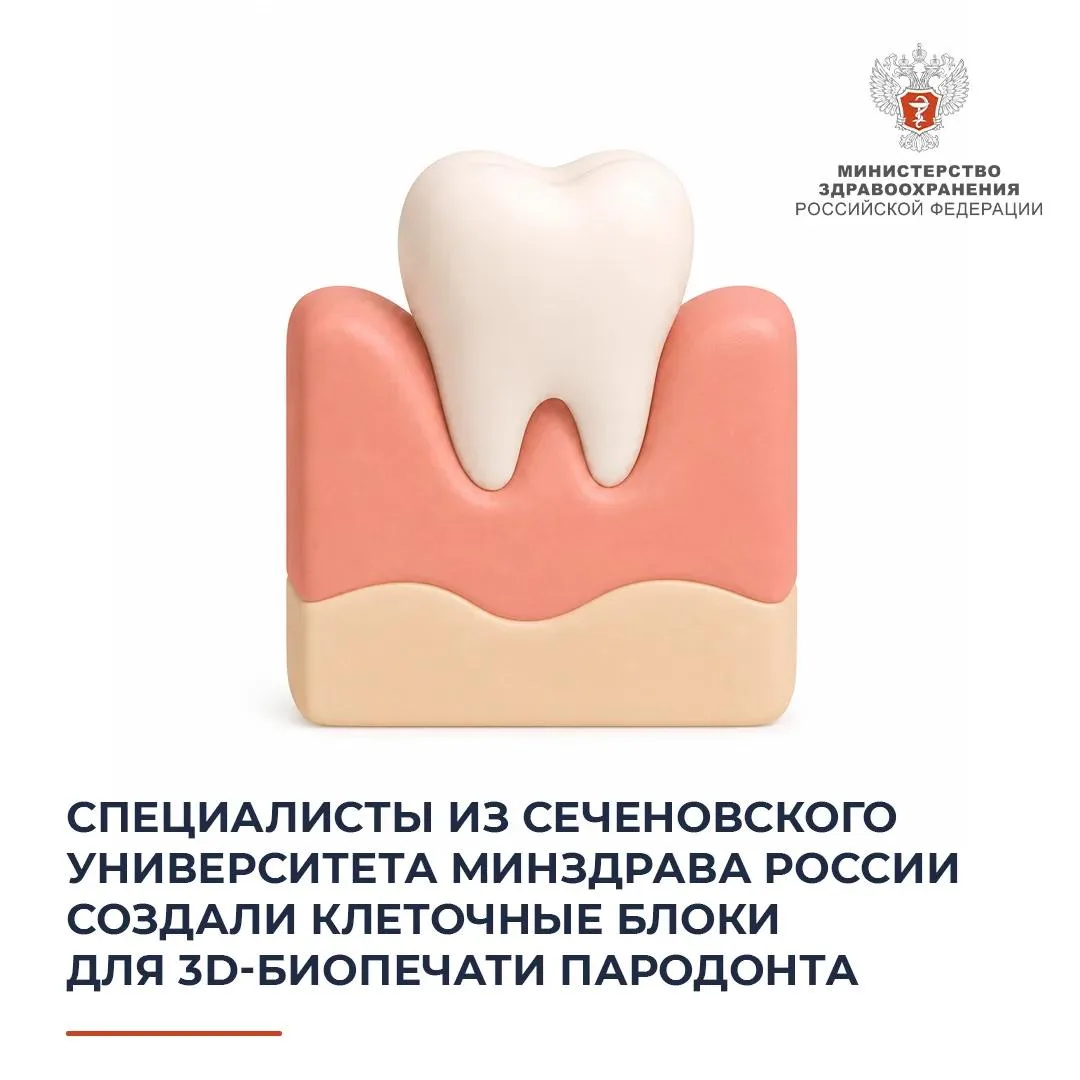 🧬 Специалисты из Сеченовского Университета Минздрава России создали клеточные блоки дл...