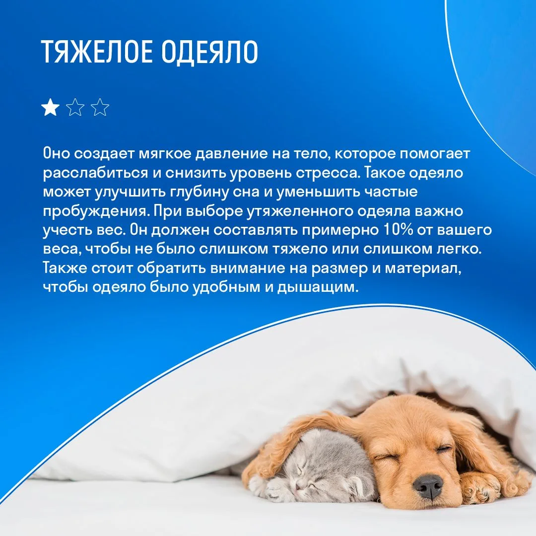 Сон – это настоящая перезагрузка организма, во время которой тело восстанавливает силы, мозг обрабат
