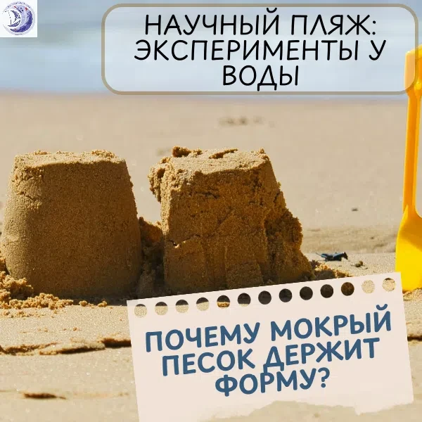 Запускаем еженедельную летнюю рубрику "Научный пляж: эксперименты у воды" ☀

🌼Будем использовать са