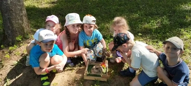 Жужжащее приключение: Всемирный день пчёл  📌Знаете ли вы, кто самый главный маленький труженик на пл