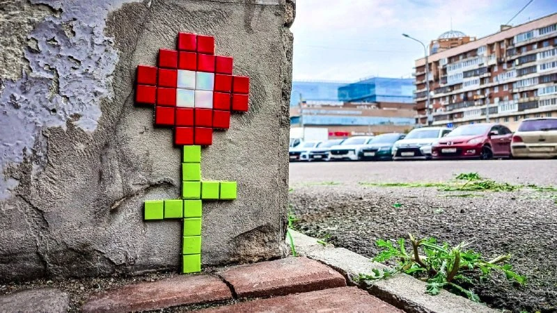 Цветочек аленький на Бухарестской🥰