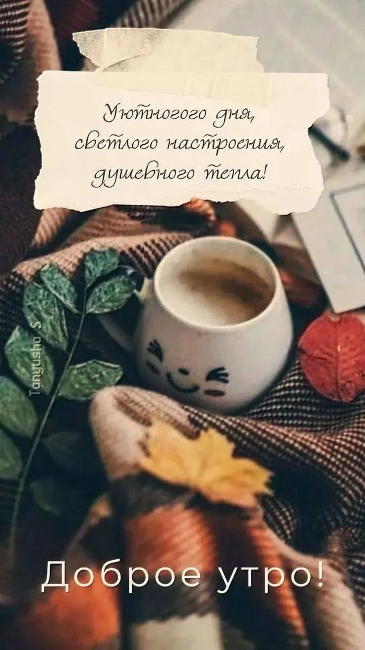 Доброе утро