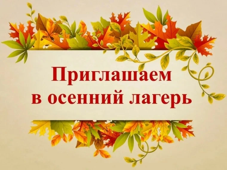 ❗️Внимание, объявление❗️
