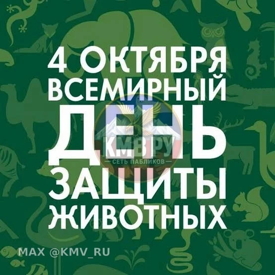 🐱 Сегодня — Всемирный день защиты животных! Давайте сделаем наш округ чуточку добрее