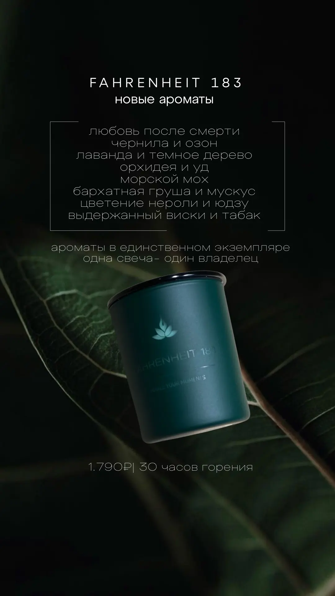 ПРЕДСТАВЛЯЕМ НОВЫЕ АРОМАТЫ