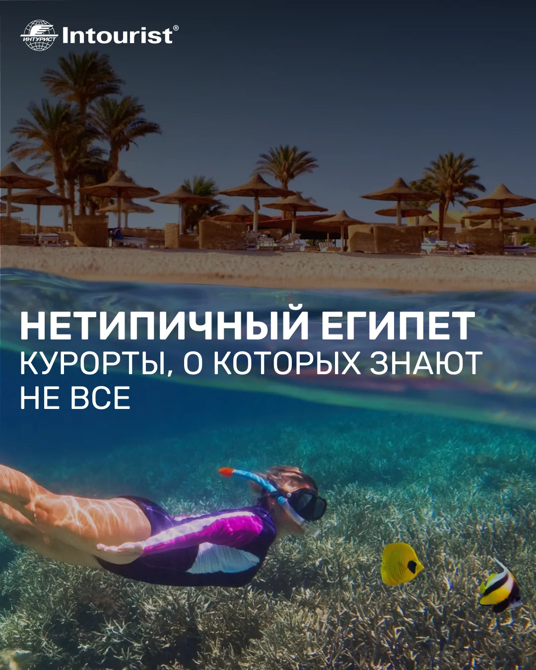 Куда ехать в Египте, если хочется чего-нибудь новенького?

Самые популярные курорты в Египте среди р