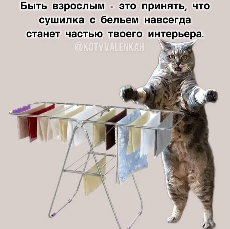 У вас также? 
❤️- конечно да
👍- ну есть такое

Наши каналы. Подписаться