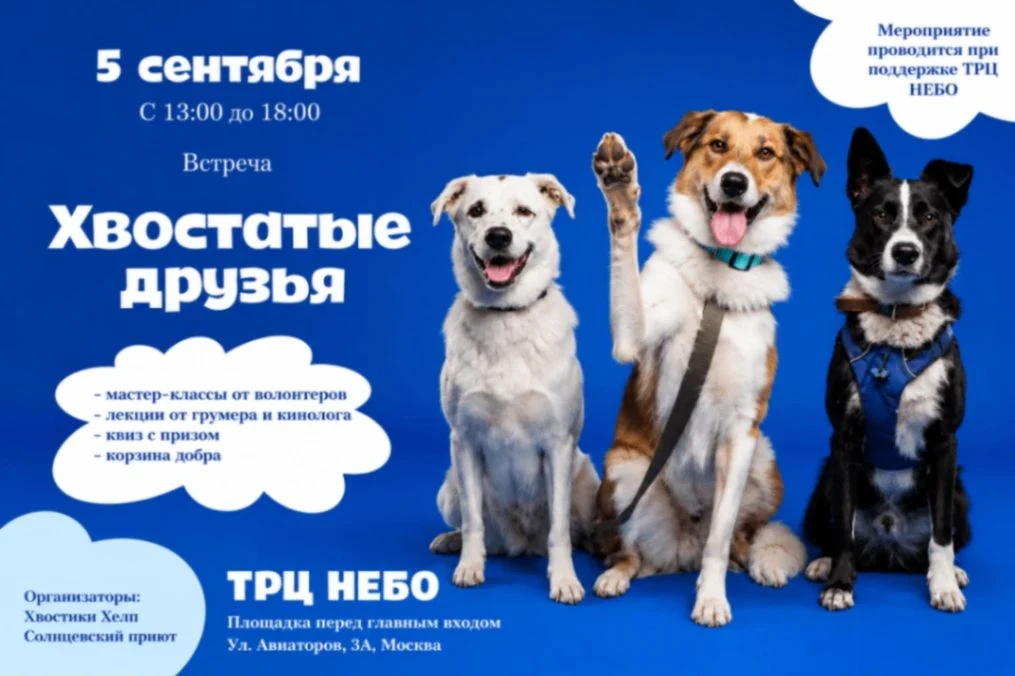 💟 ✅️В ДЕНЬ ГОРОДА ДЕЛАЕМ ДОБРЫЕ ДЕЛА!