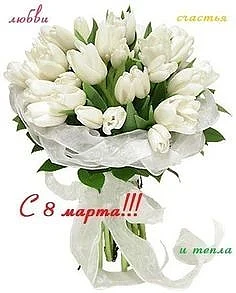 Дорогие милые, прекрасные и очаровательные! Поздравляю Вас с этим замечательным весенним праздником!