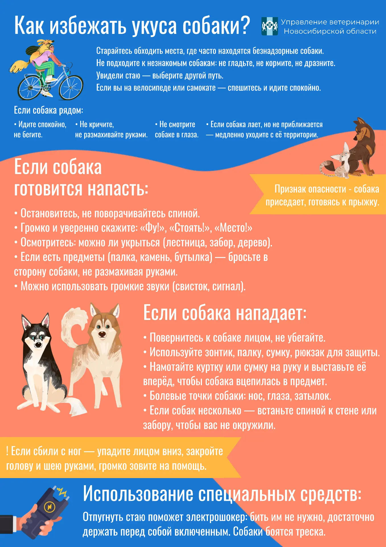 Как избежать укуса собаки❓  И что делать, если укусили❓