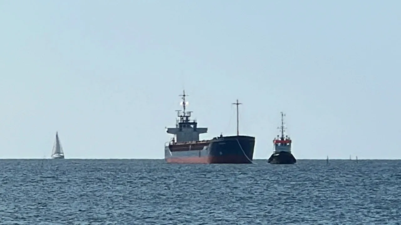🇩🇰⚓⛴  Происшествие у Нюборга: сухогруз Roseburg снят с мели
