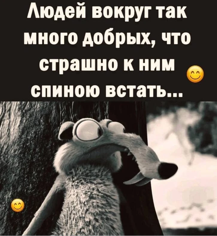 Мемы каждый день • Подписаться