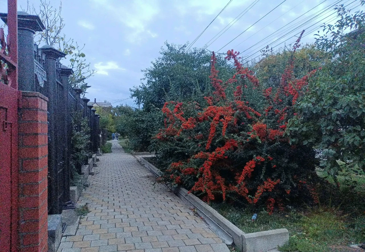 Доброго вечера!
