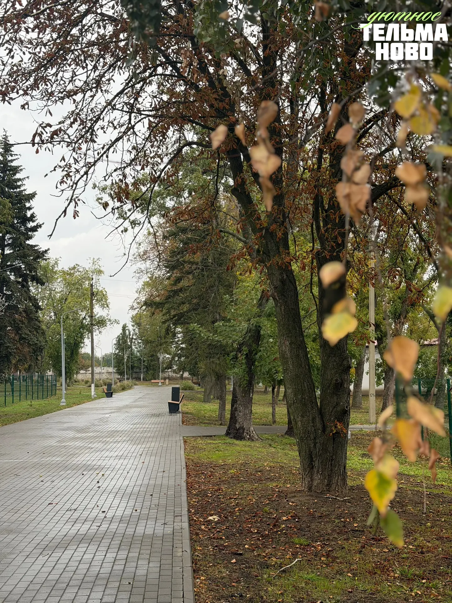 Четверг, вечер 🌇