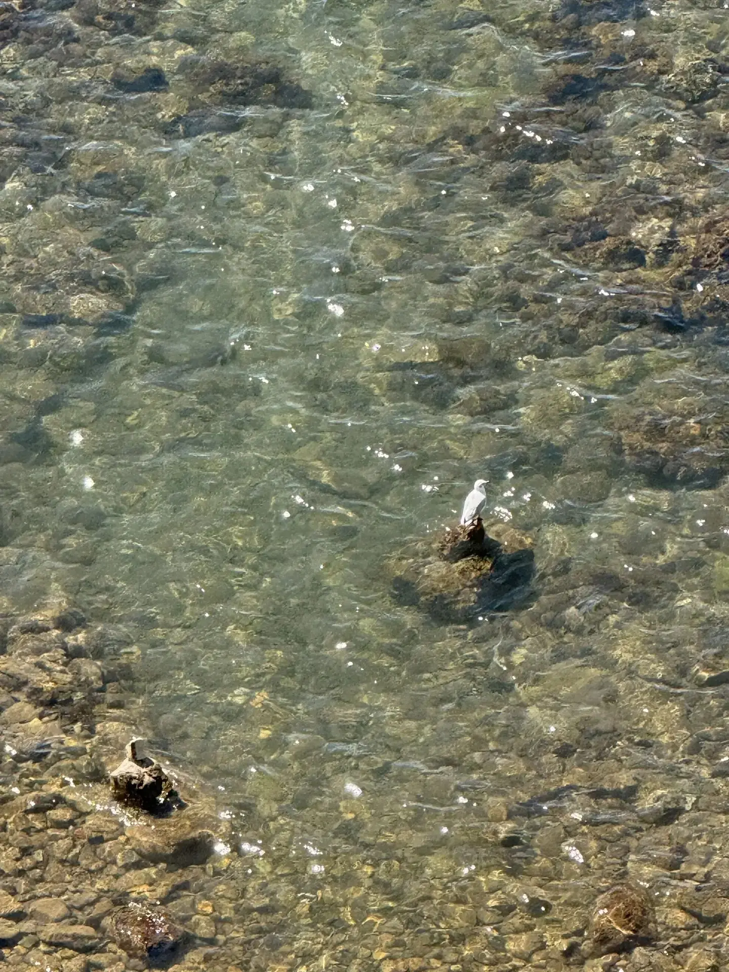 Да, вода прохладная🌊