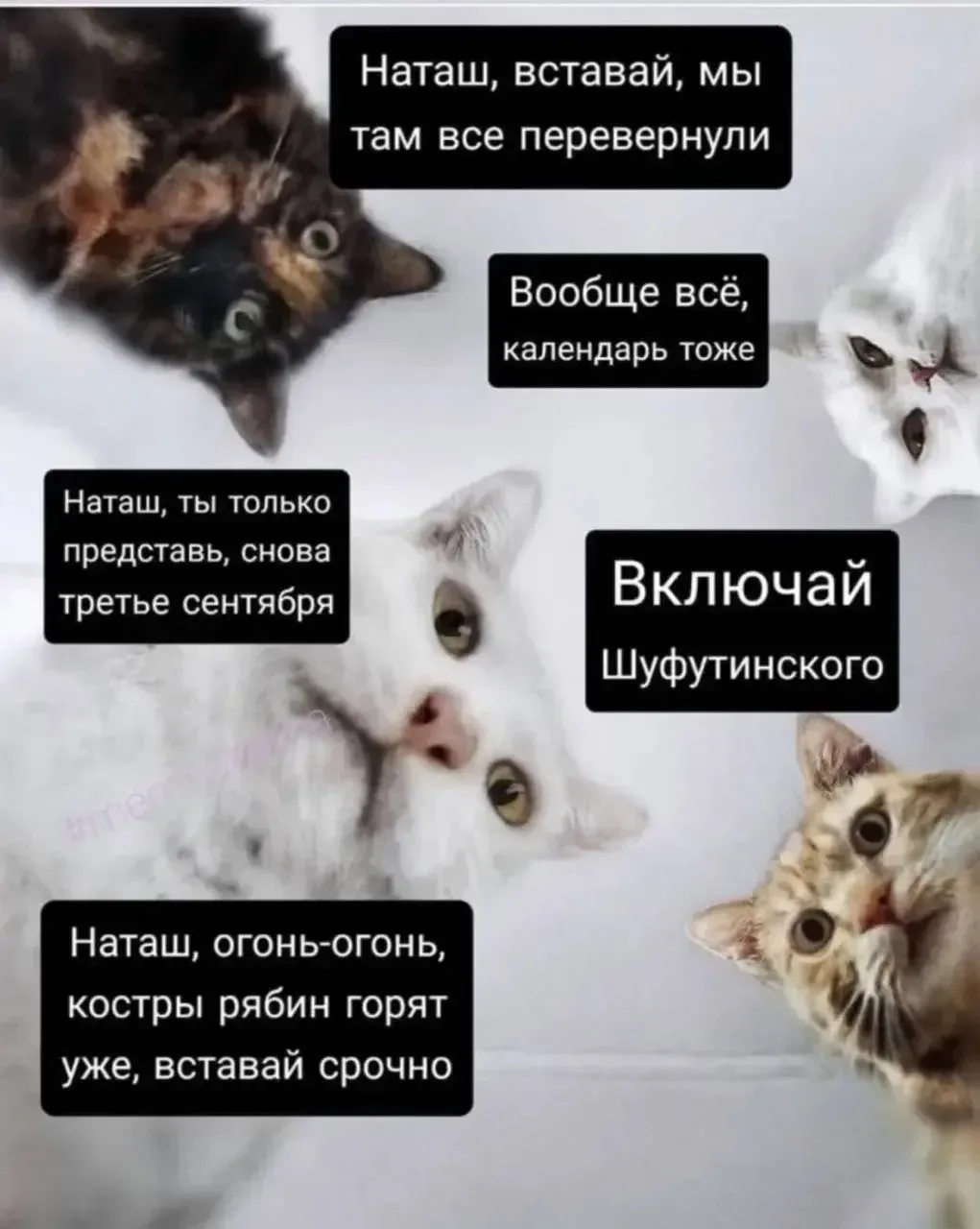 баян, но актуальненько