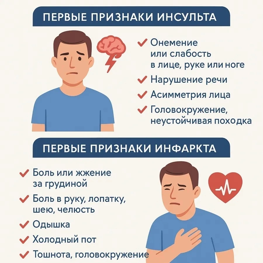 Инфаркт — это поражение сердца из-за нехватки крови, а инсульт — поражение мозга.