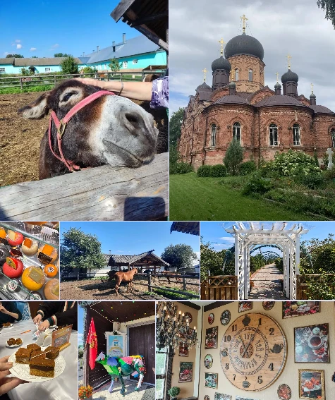 Аромат пряников и сырный рай!