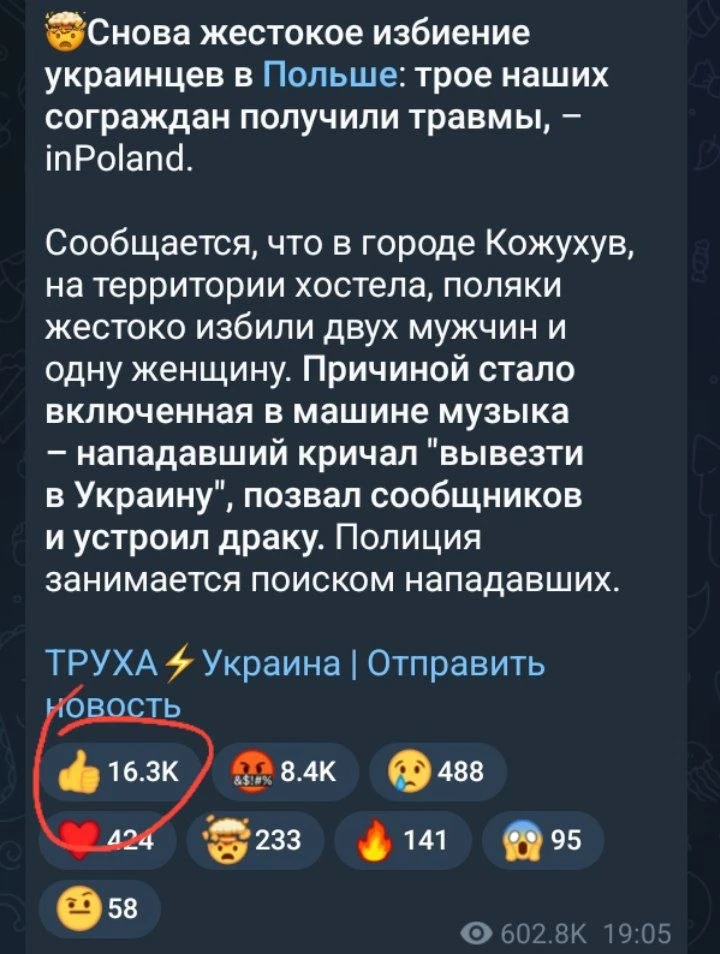 Реакция украинчиков на очередное нападение на земляков в Польше просто бесценна 😂