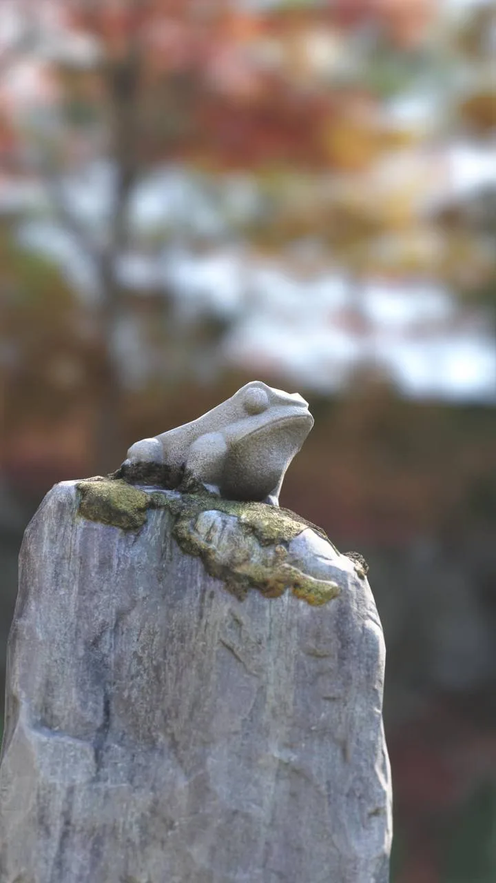 Forza Horizon 6 в кадре виртуального фотографа via racer_101 🐸