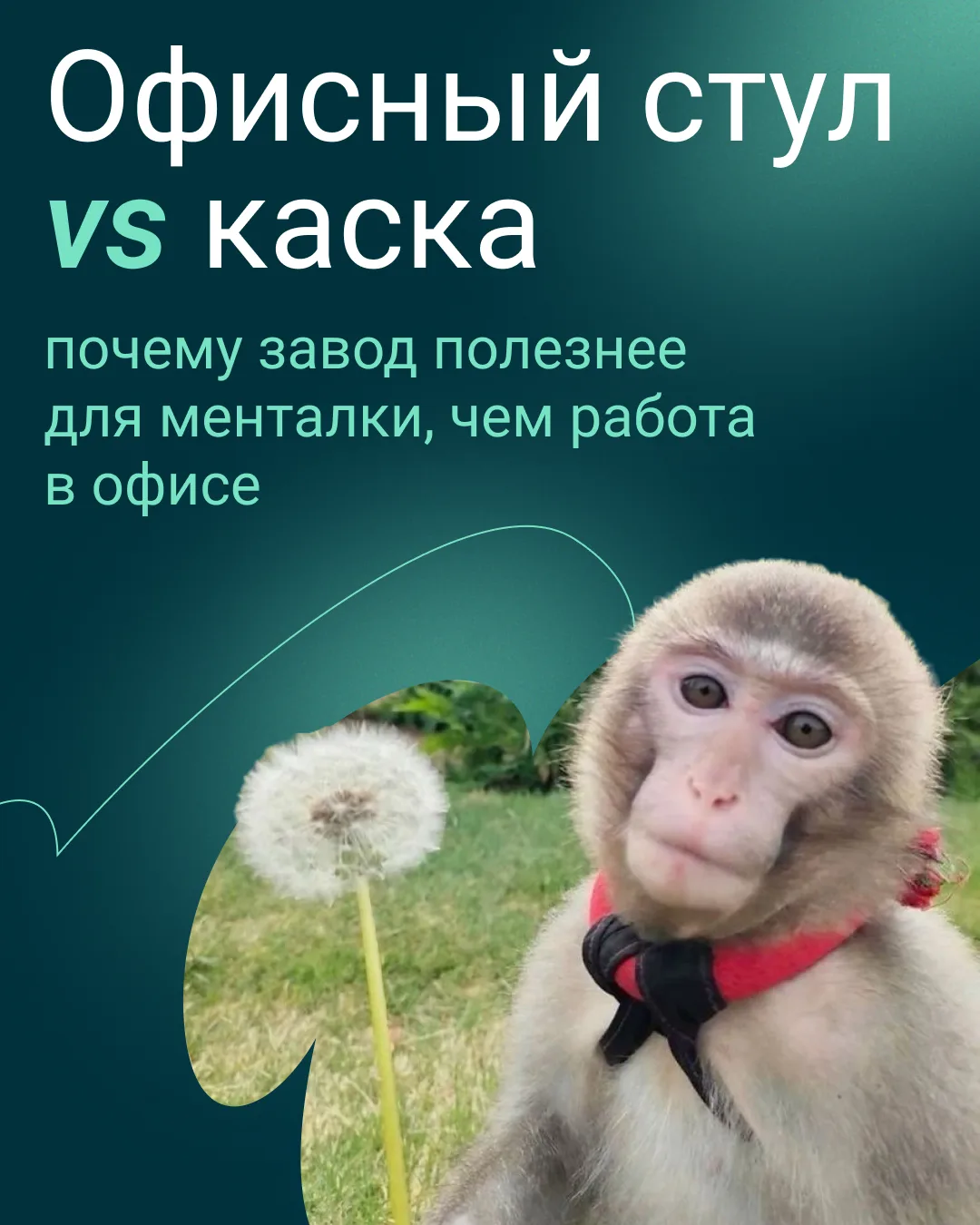 Офисный опенспейс или здоровое ментальное здоровье — кажется, придется выбирать.