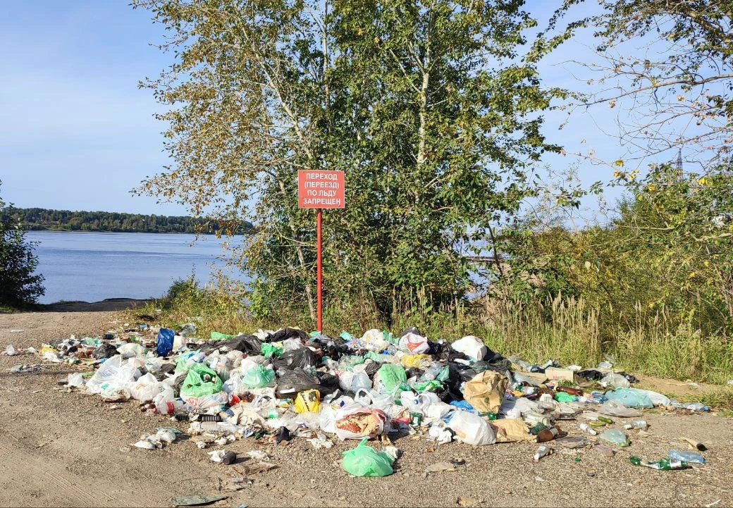 🗑 Пермяки выбрасывают по 250 кг мусора в год