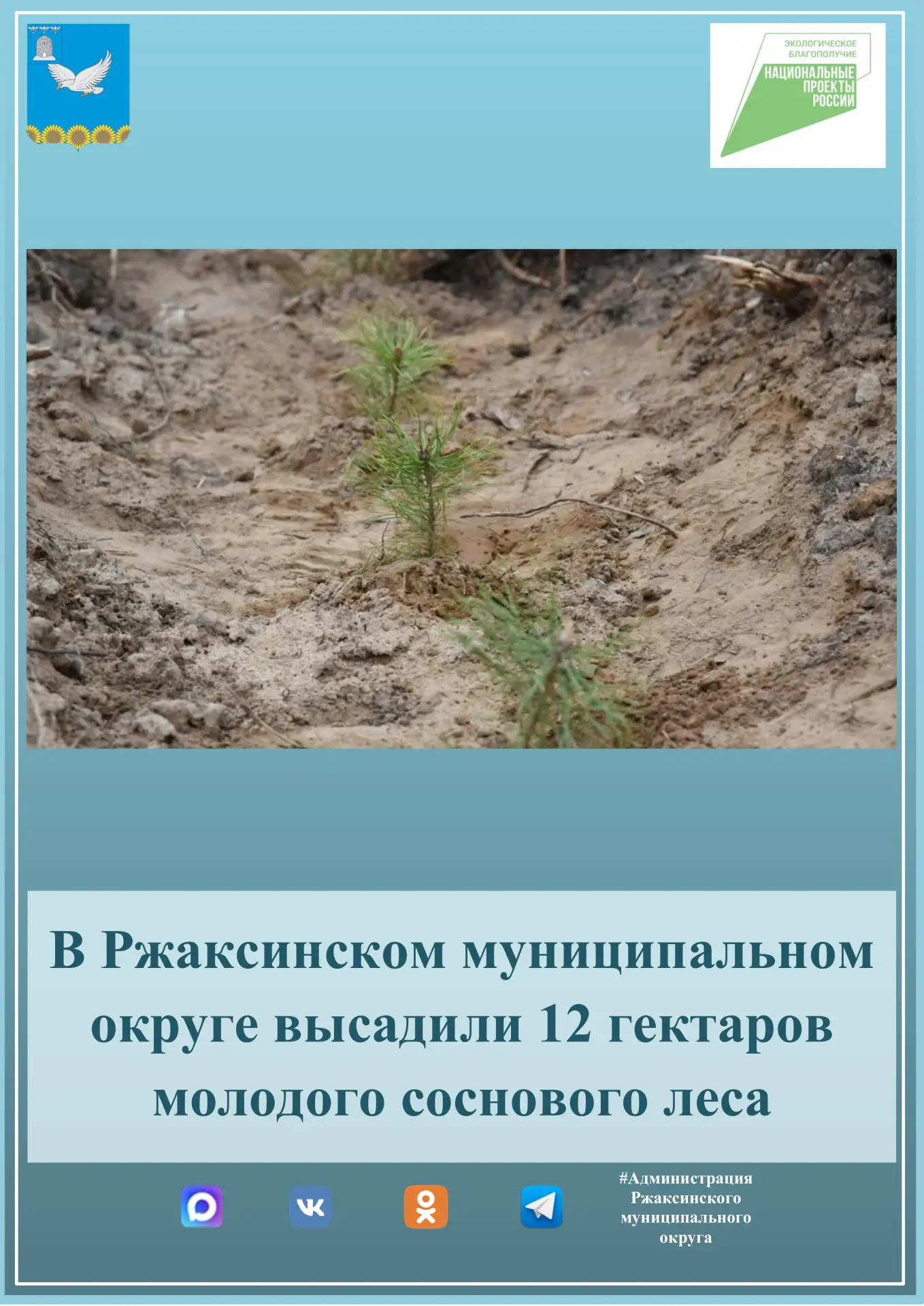 🌲 На территории Ржаксинского муниципального округа в рамках федерального проекта «Сохранение лесов»