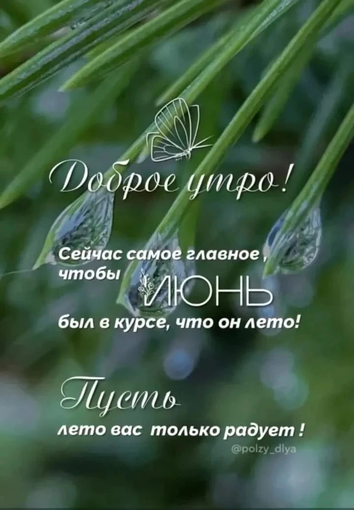 Доброе утро, коллеги!

Пусть июнь в Московской области будет по-настоящему летним: тёплым, светлым, 