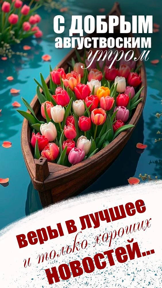 Поздравления Открытки ❤️