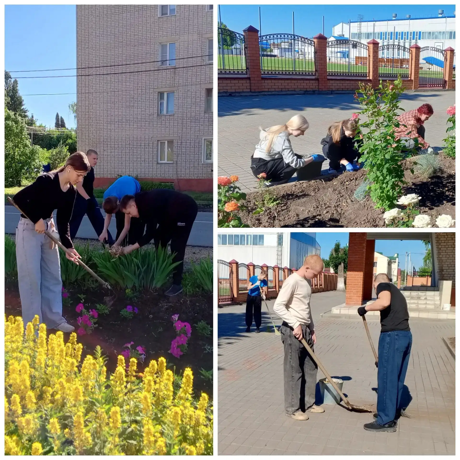 Летняя практика 🌱 — это не только интересное время☀️, но и прекрасная возможность проя...